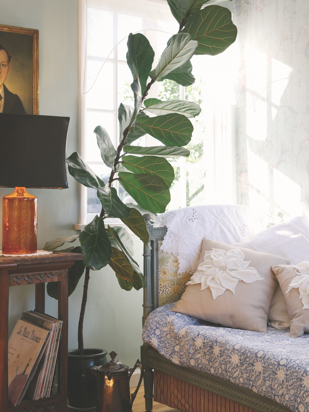country-annex-JessieWebster_Squarespace_19.jpg